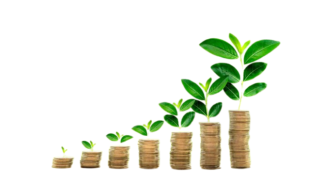 SIP Investment Growth