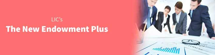 The New Endowment Plus