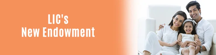 New Endowment Plan